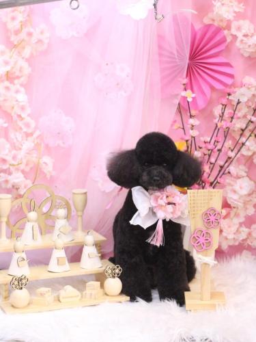 20250306コアくん